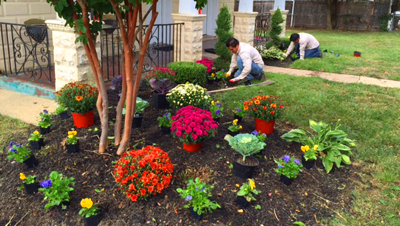 flower-bed