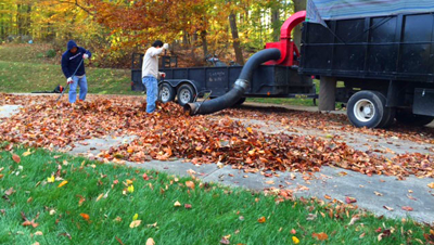 leaf-cleaning